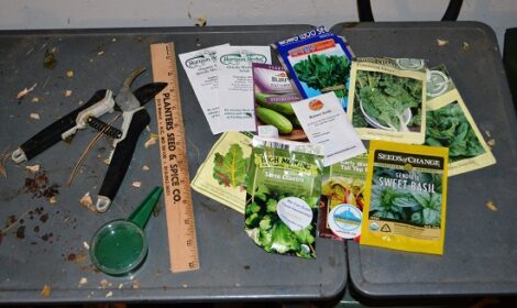 Saving Seeds After the Harvest Image